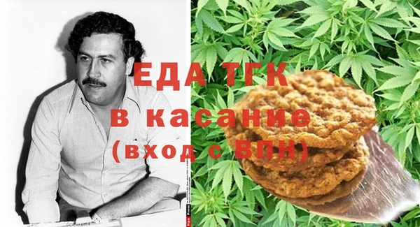 индика Краснотурьинск