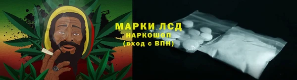 сатива Лагань