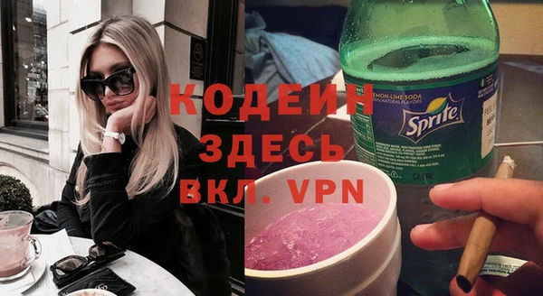 индика Краснотурьинск