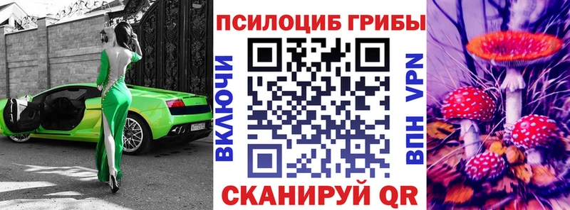 Псилоцибиновые грибы Cubensis закладки Белая Калитва