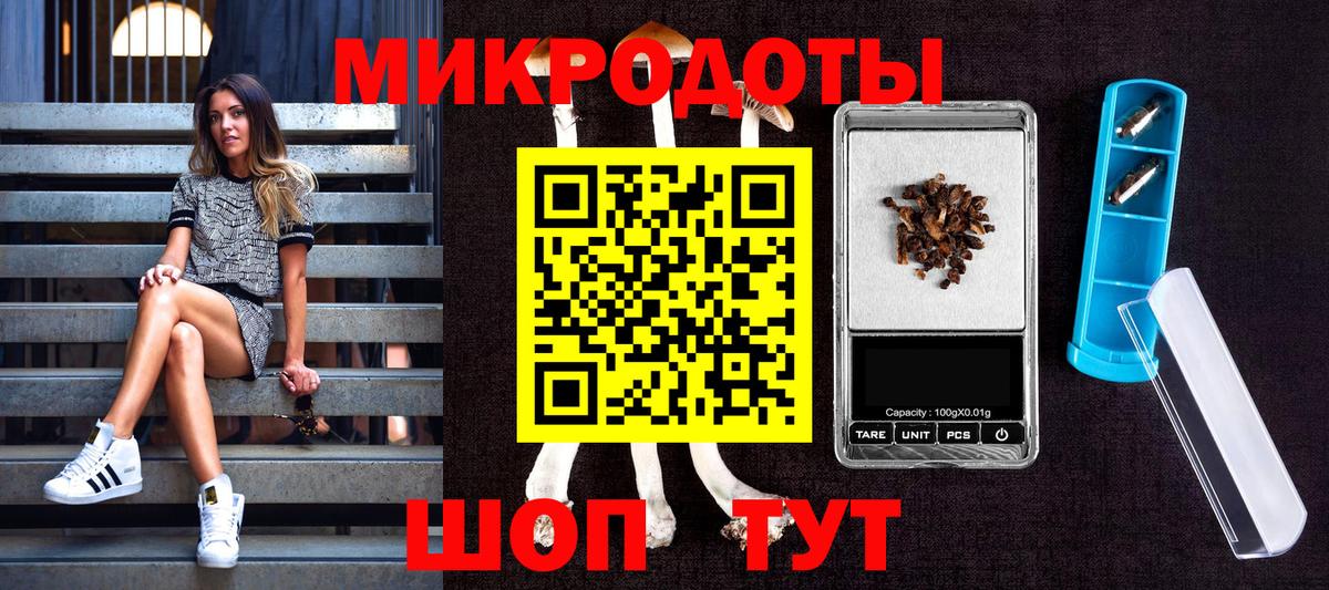 Галлюциногенные грибы мицелий Белая Калитва